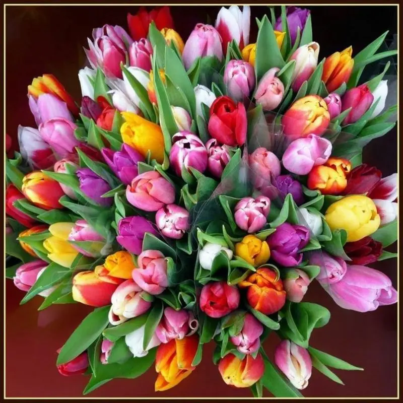 Condolence image of Susanne 