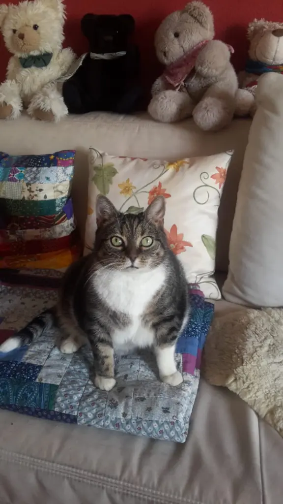 Condolence image of Sascha