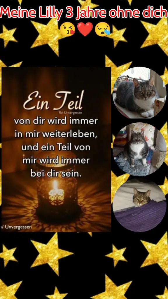 Condolence image of Sascha