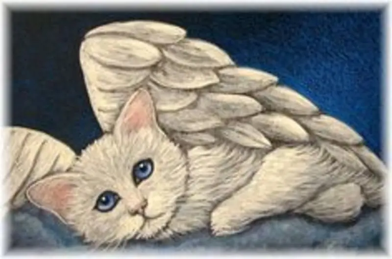 Condolence image of Katrin und Katzi im ❤️
