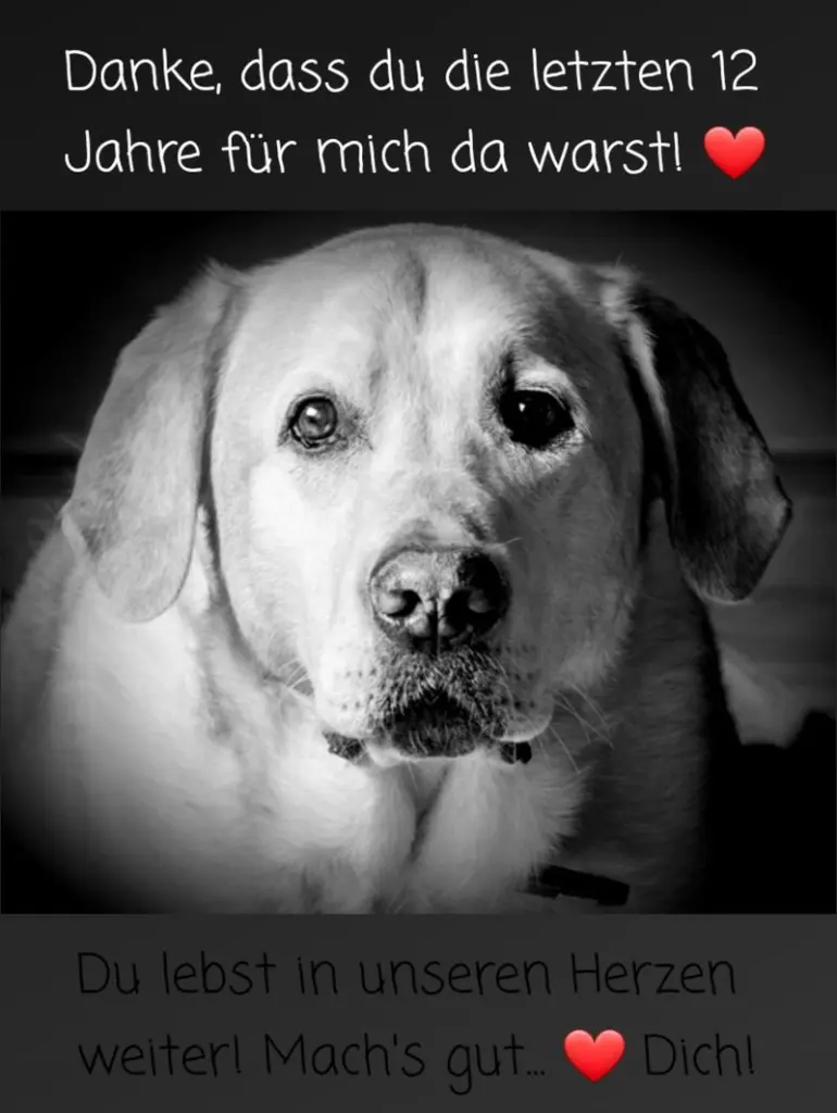 Condolence image of Julia