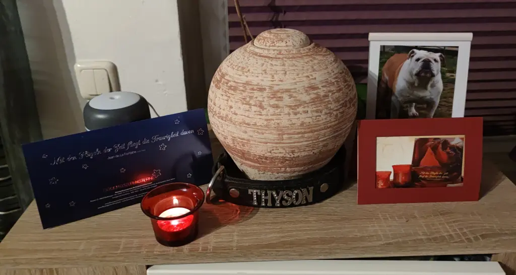 Image from Thyson