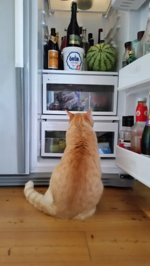 Image from Catman