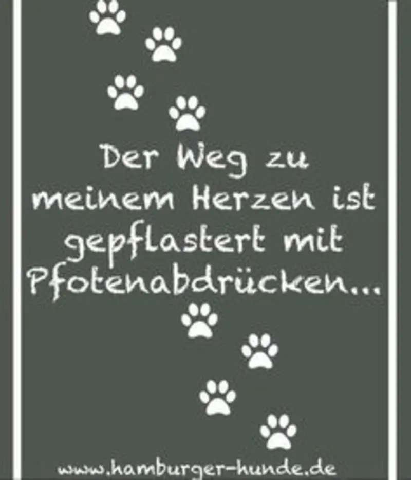 Condolence image of Katrin und Katzi im ❤️