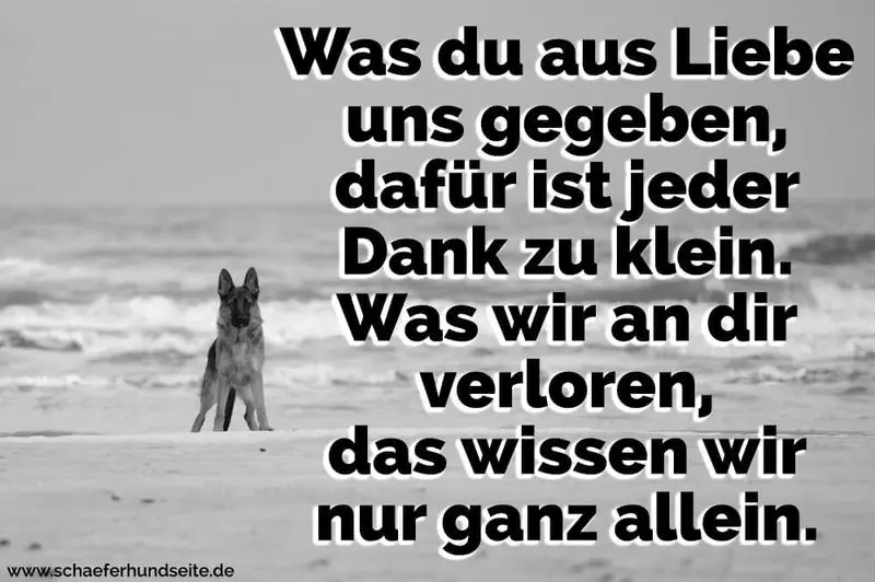 Condolence image of Katrin und Katzi im ❤️