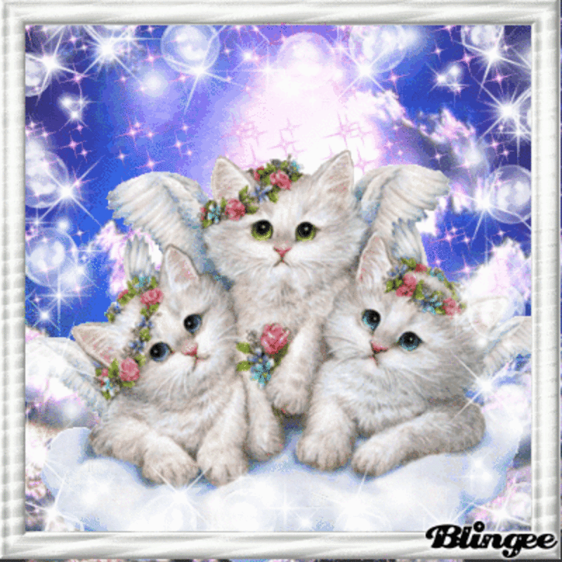 Condolence image of Andrea und Ralf