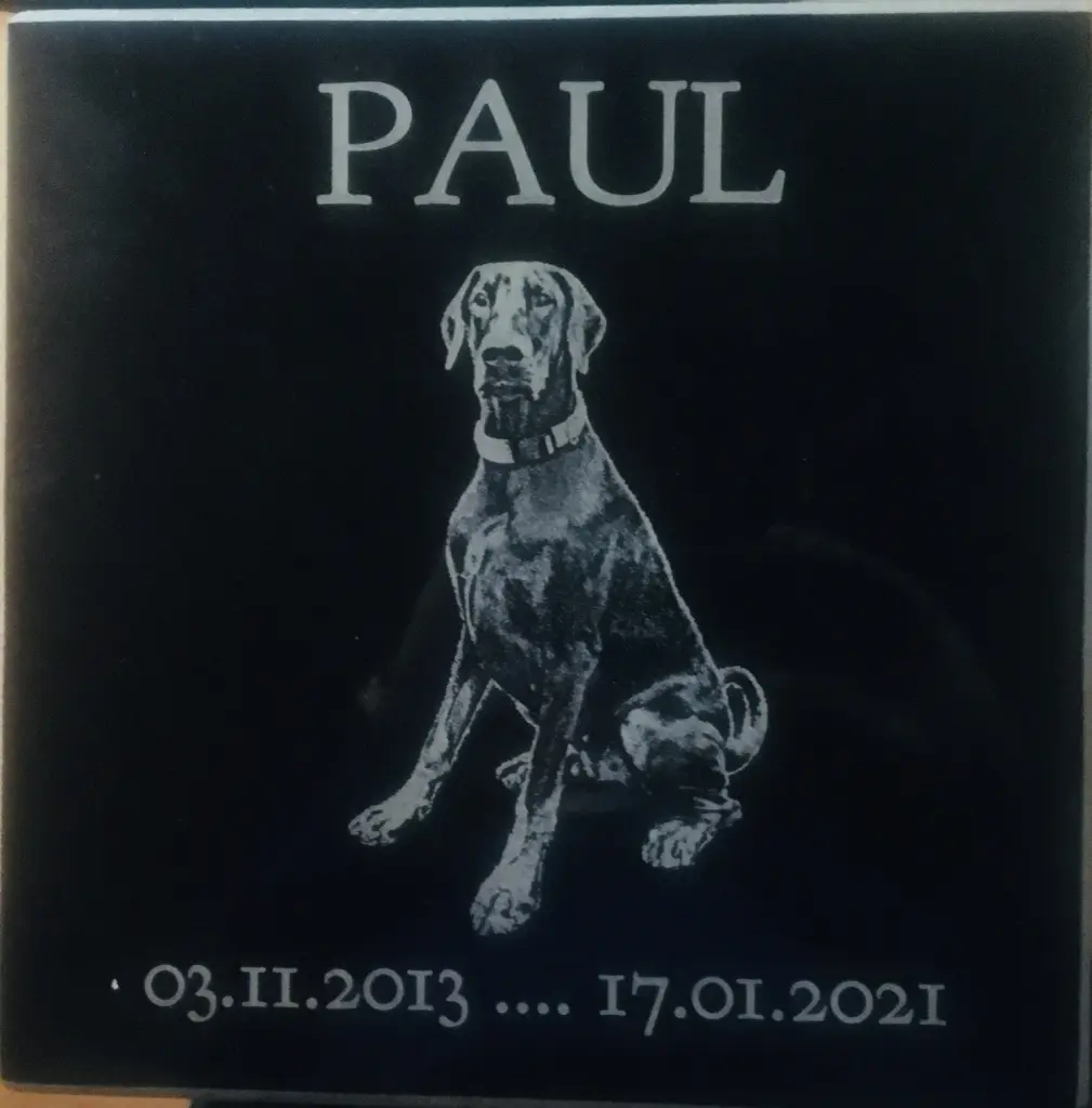 Image from Paul