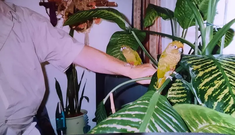 Condolence image of Deine Mutti Edeltraud und Tante Eike♥️♥️