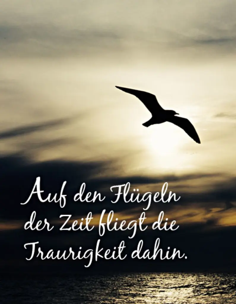 Condolence image of Katrin und Katzi im ❤️