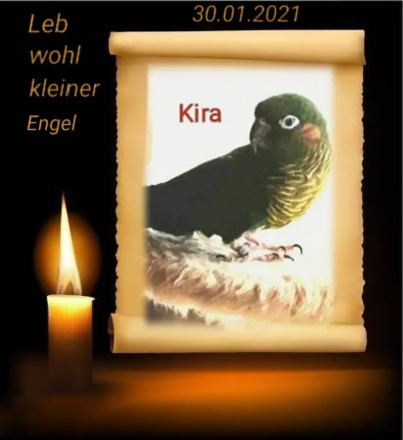 Condolence image of Sabine mit Kaspar tief im Herzen