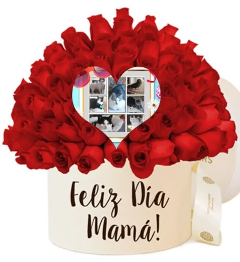 Condolence image of ❤️Mama❤️