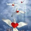 Condolence image of Tanja mit Timmy im Herzen 