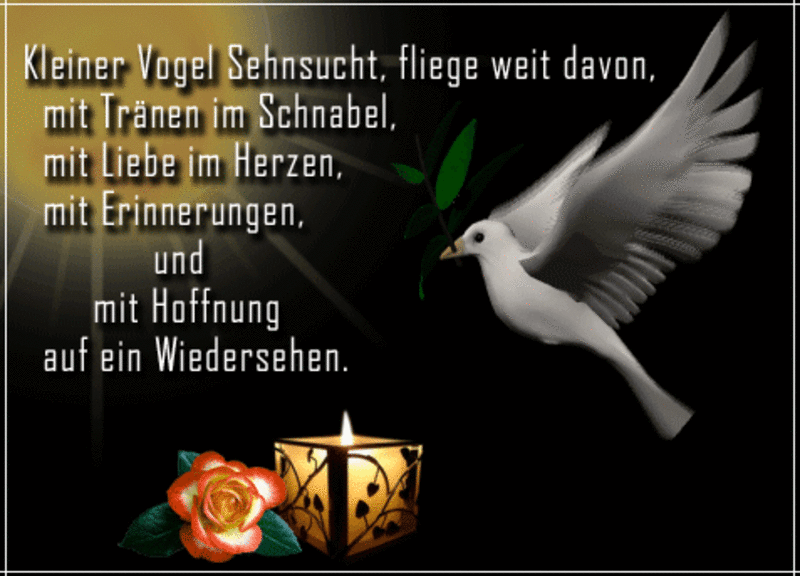 Condolence image of Tanja mit Timmy im Herzen 