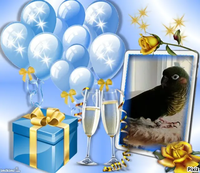 Condolence image of Tanja mit Timmy im Herzen 
