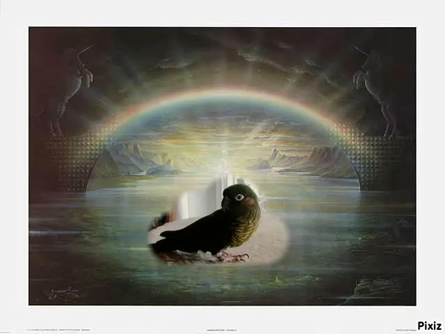 Condolence image of Tanja mit Timmy im Herzen 