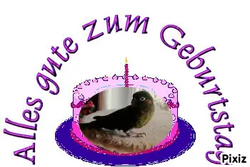 Condolence image of Tanja mit Timmy im Herzen 