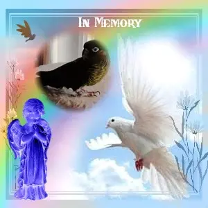 Condolence image of 2.Sternchen❤️Gedenktag❤️❤️
