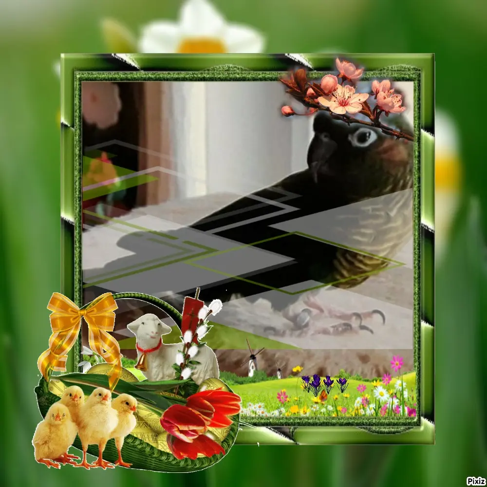 Condolence image of Tanja mit Timmy im Herzen 