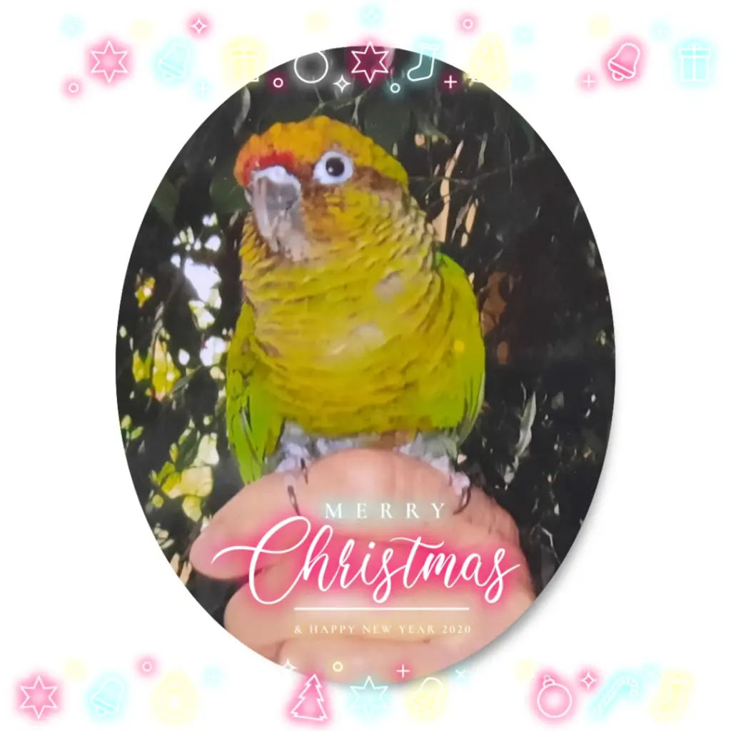Condolence image of ❤️Frohe Weihnachten Kira ❤️