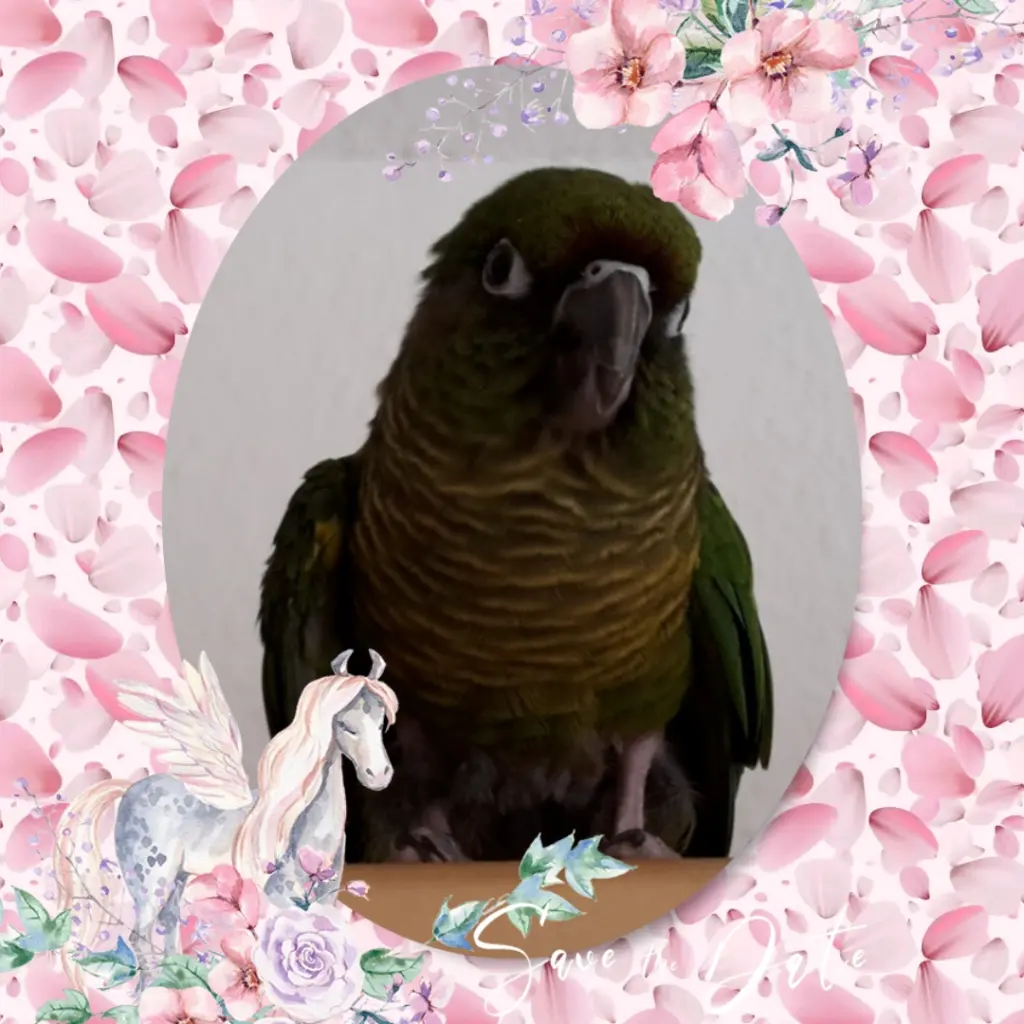 Condolence image of ❤️3. Sternchengeburtstag Kira-Marianne ❤️ 