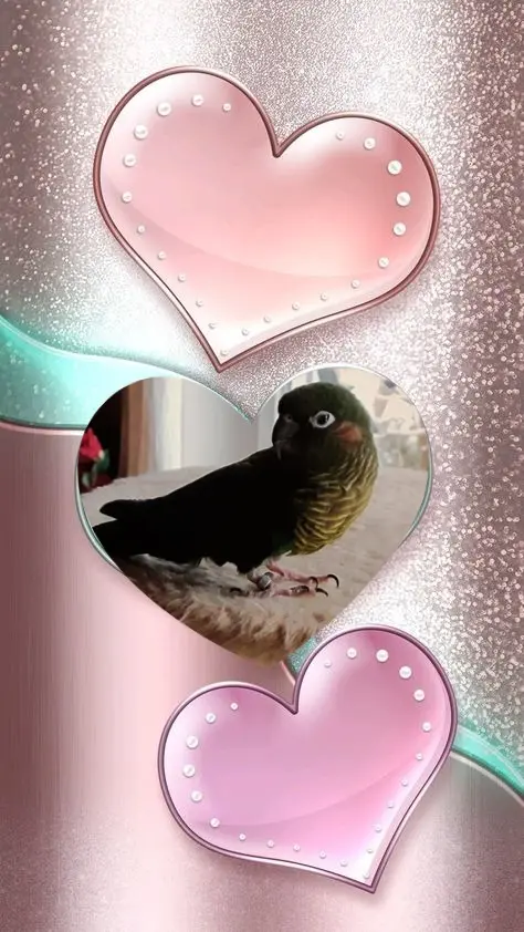 Condolence image of 3. Sternchen❤️❤️❤️Gedenktag❤️❤️❤️