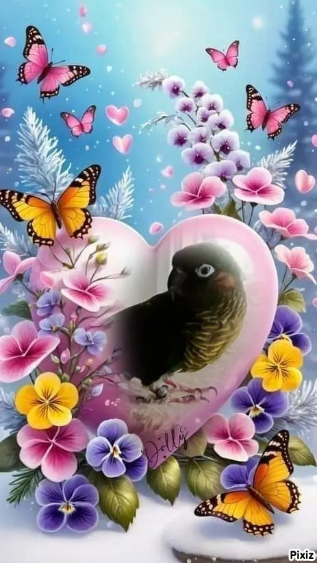 Condolence image of Tanja mit Timmy im Herzen 