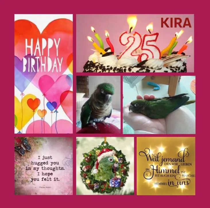 Condolence image of Rosen zum 25. Geburtstag für Kira