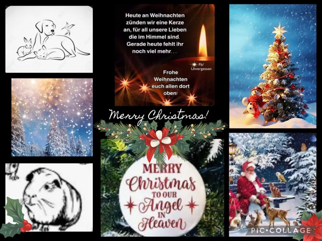 Condolence image of ❤️Frohe Weihnachten liebste Kira-Marianne ❤️Deine Tante Eike und Mutti Edeltraud ❤️