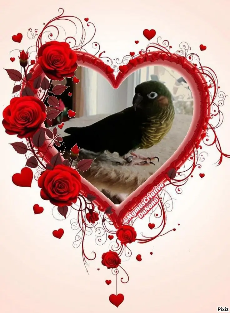 Condolence image of Tanja mit Timmy im Herzen 