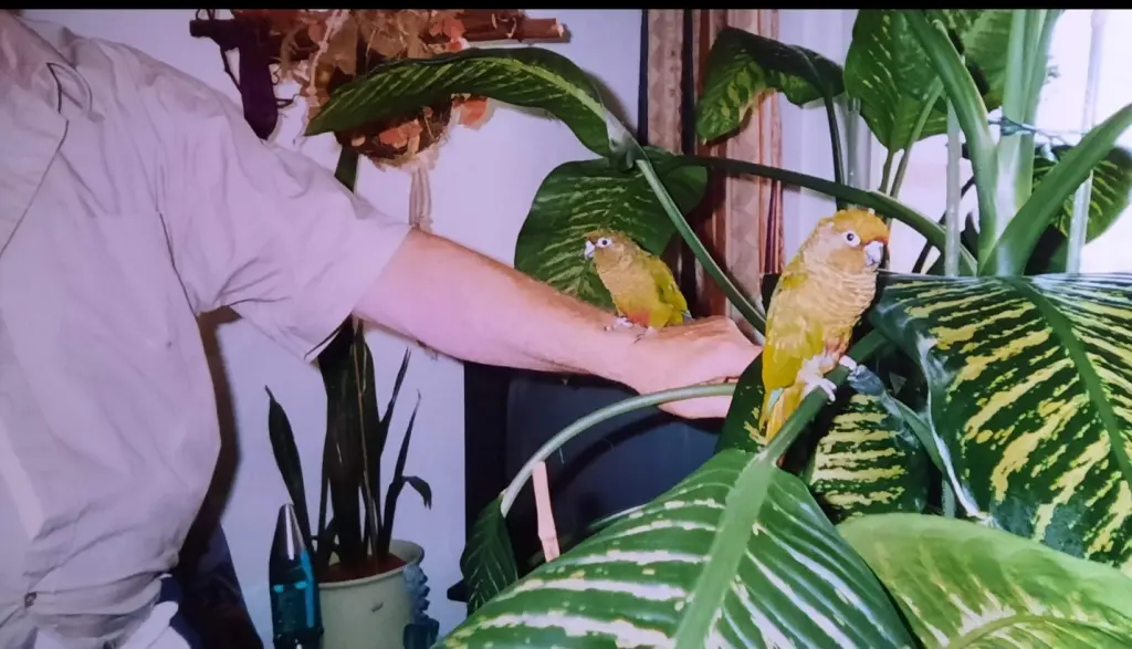 Condolence image of ❤️54 Mo❤️Deine Mutti Edeltraud und Tante Eike ❤️
