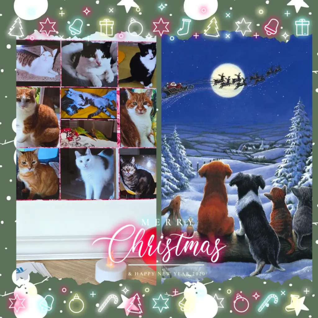 Condolence image of ❤️Für Kiri❤️Zu Weihnachten ❤️ Deine Mutti und deine Tante ❤️