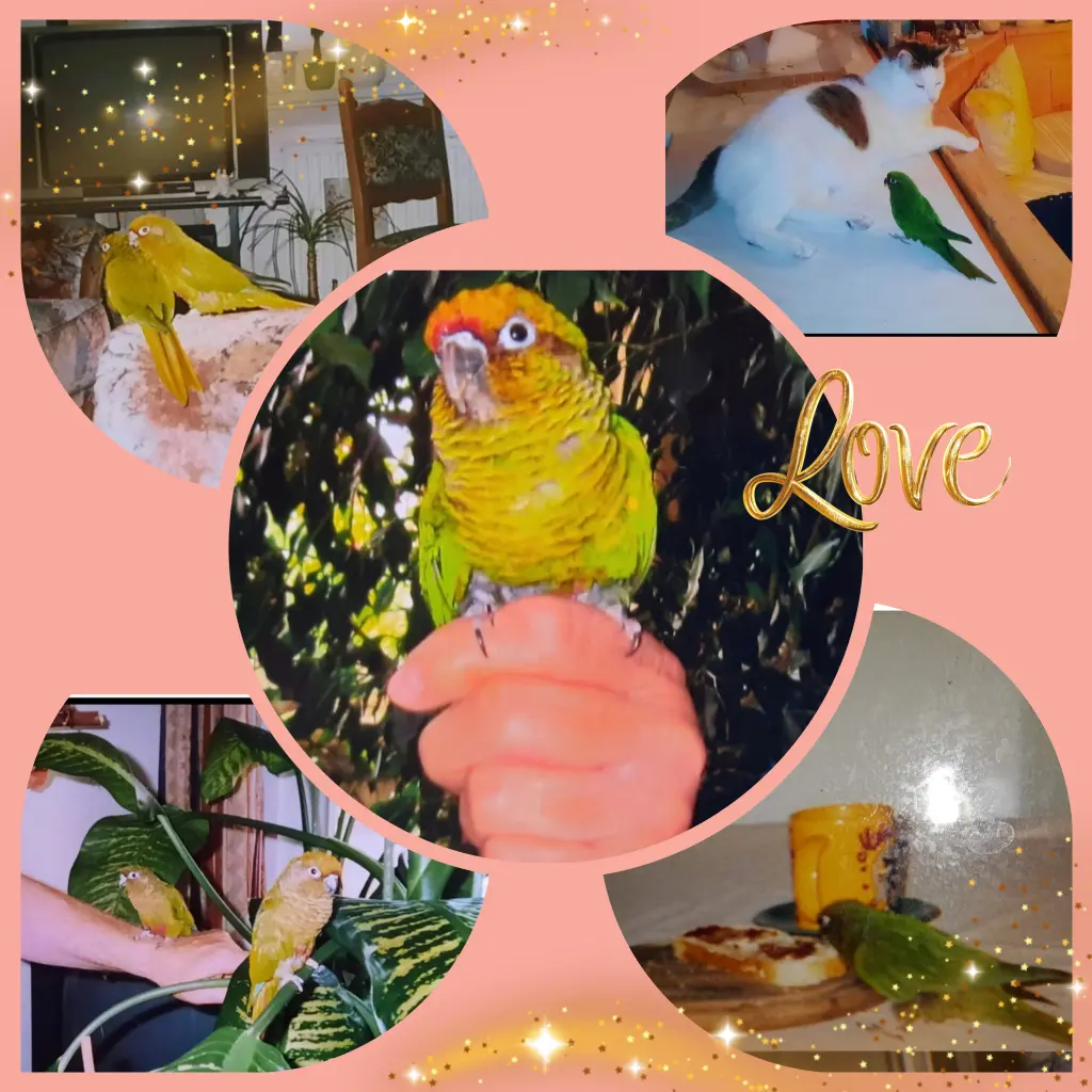 Condolence image of ❤️5. Sternchengeburtstag ❤️ Deine Mutti und deine Tante ❤️