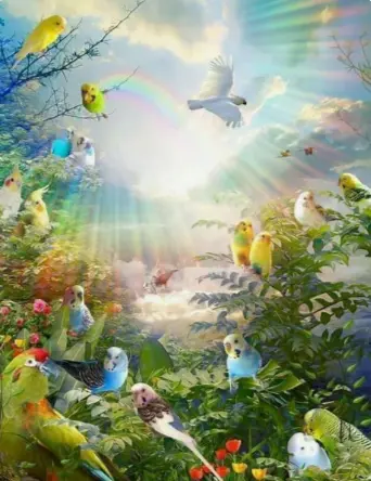 Condolence image of ✨*.¸¸.•*✨Für Kira zum 5. Sternchengedenkjahr✨*.¸¸.•*✨