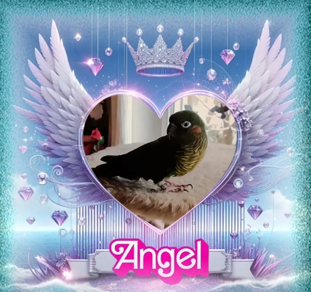 Condolence image of 5.Sternchen⭐️Gedenktag❤️❤️❤️❤️❤️