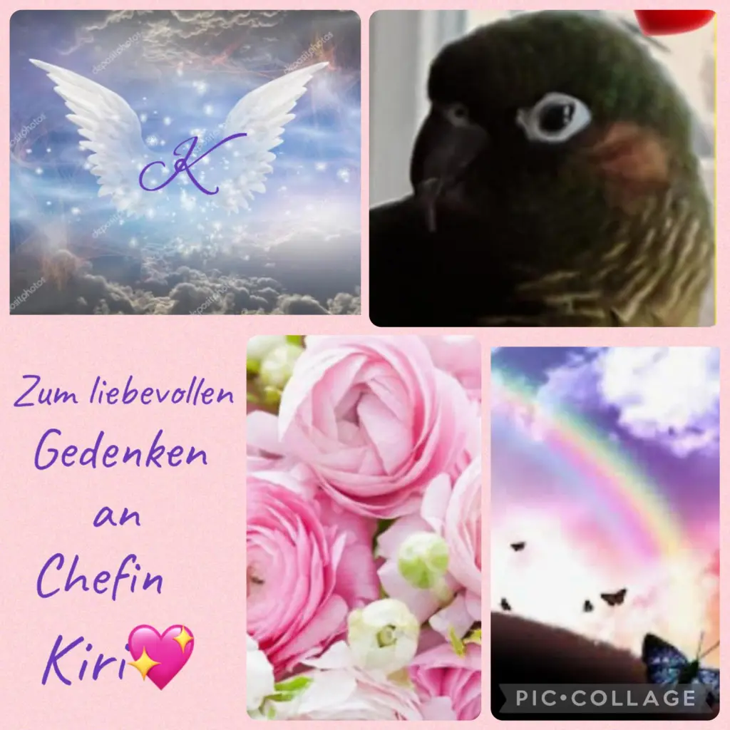 Condolence image of ❤️62 Mo❤️Deine Mutti und deine Tante ❤️