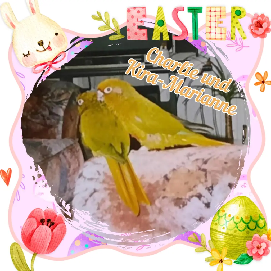Condolence image of 💐Frohe Ostern 💐 Kira & Charlie ❤️❤️