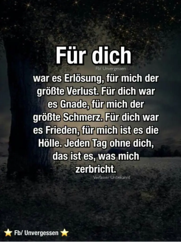 Condolence image of Katrin und Katzi im ❤️