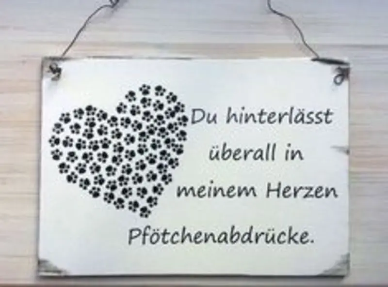 Condolence image of Katrin und Katzi im ❤️