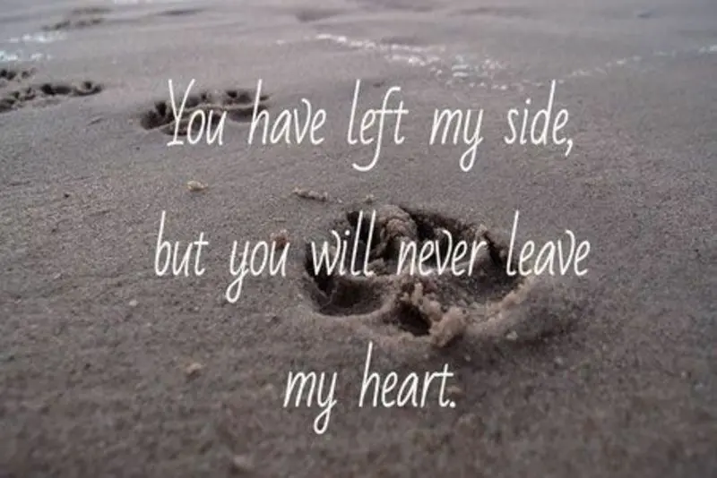 Condolence image of ❤
