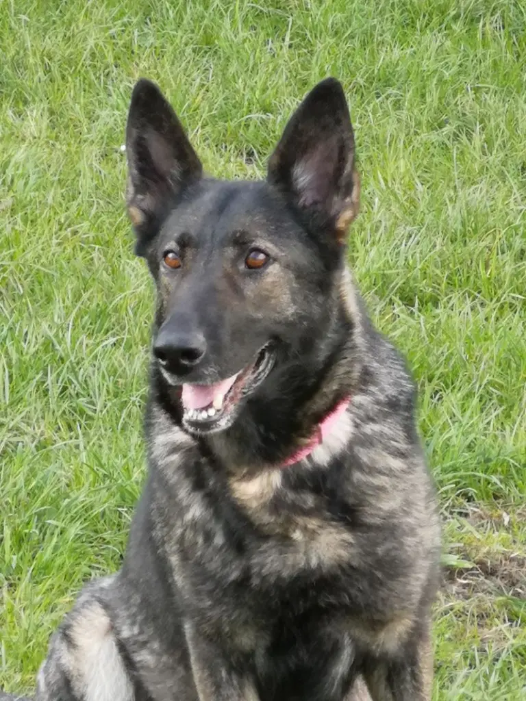 Condolence image of Manuela