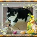 Condolence image of Annemarie und Elke mit Snoopy im Herzen gest 04.01.2022