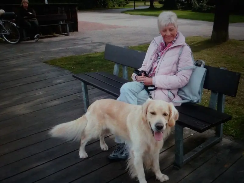 Condolence image of Heike