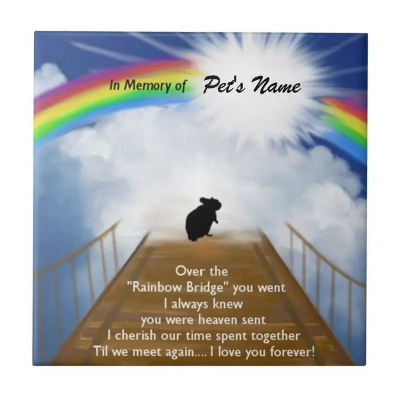Condolence image of Katrin und Katzi im ❤️