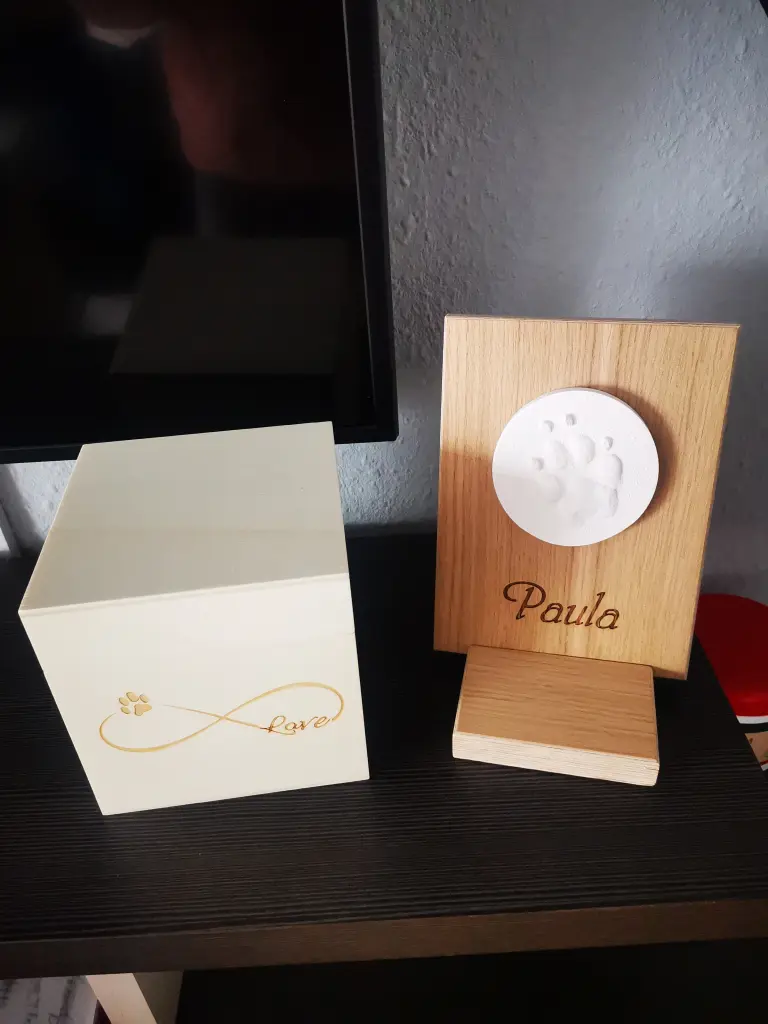Image from Paula