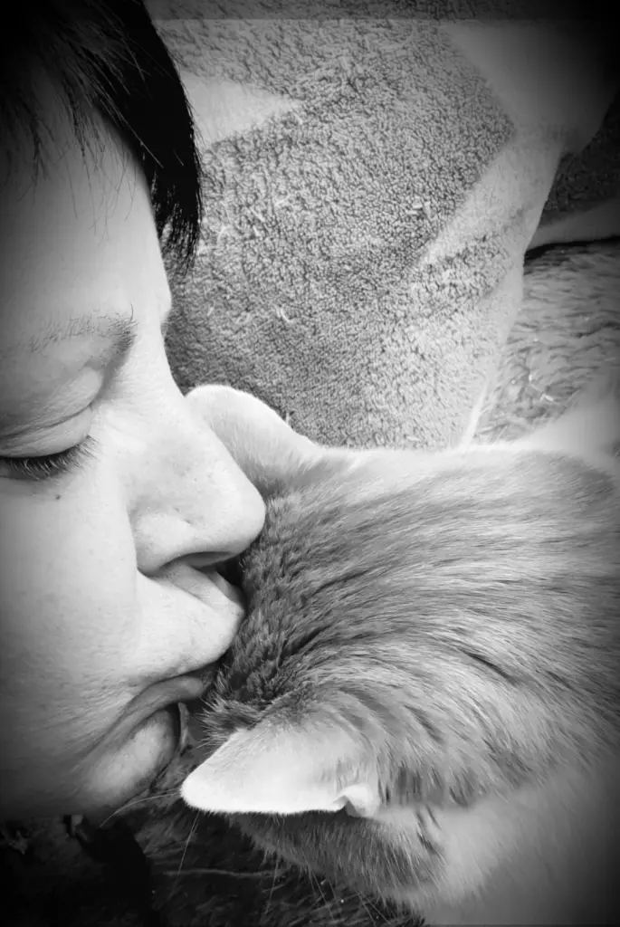 Condolence image of Silke Schmitt