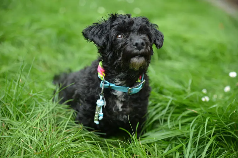 Andachtsbild von Christine mit Wolli im Herzen! ❤️