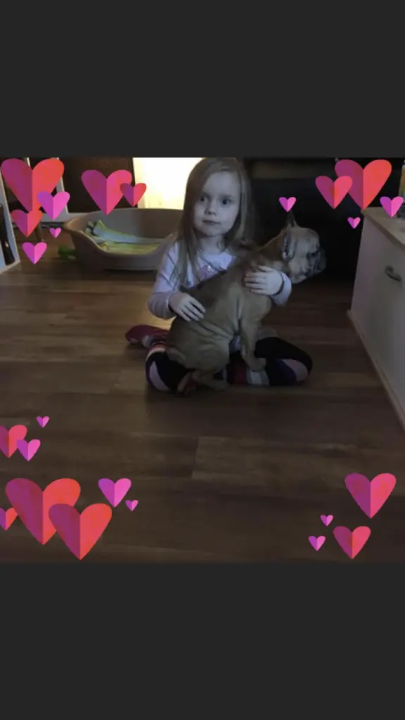 Image from Nemo