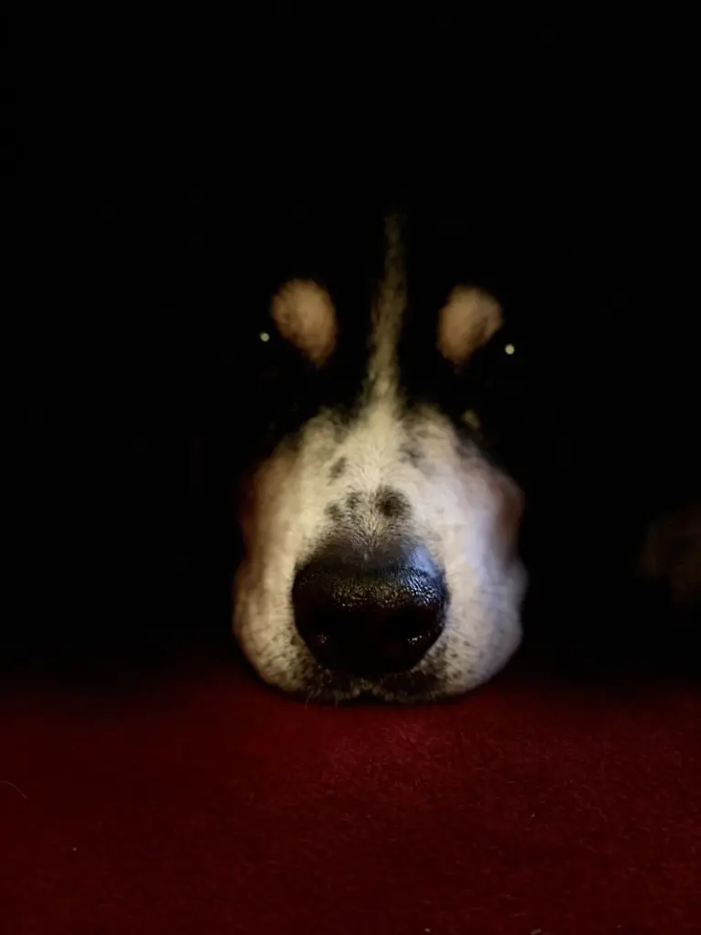 Condolence image of Unbekannt