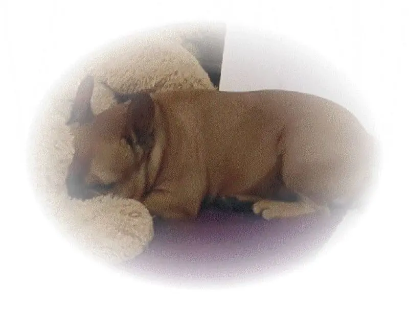 Condolence image of Mama