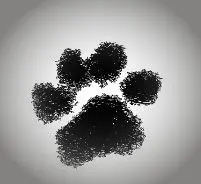 Image from Cracker